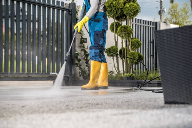 Animal Enclosure Cleaning in Lakeview, OH